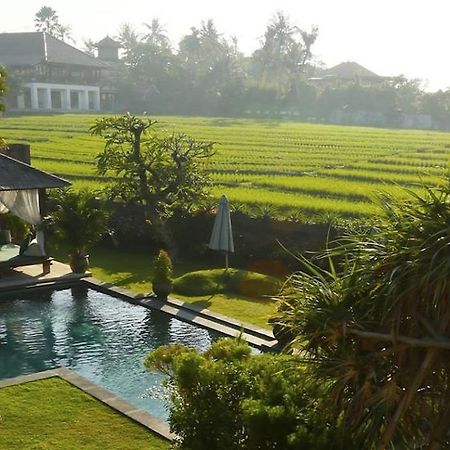 Ngeluwungan Boutique Hostel Canggu Eksteriør billede