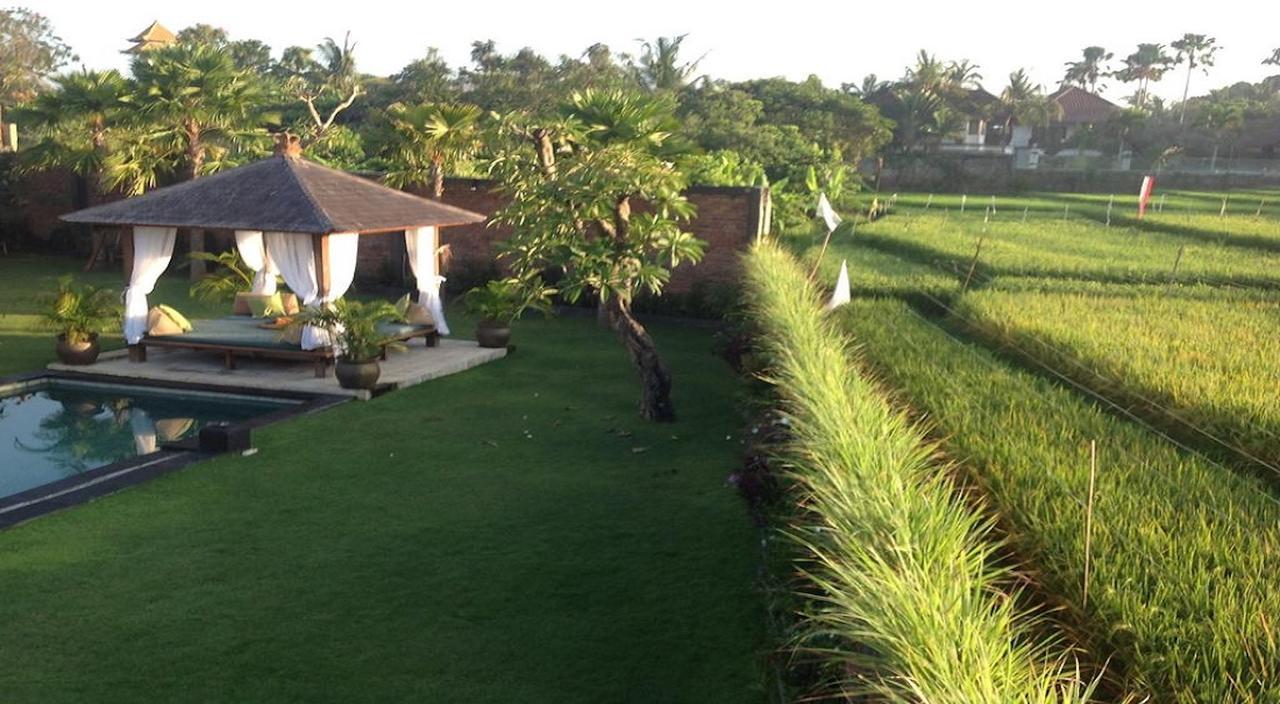 Ngeluwungan Boutique Hostel Canggu Eksteriør billede