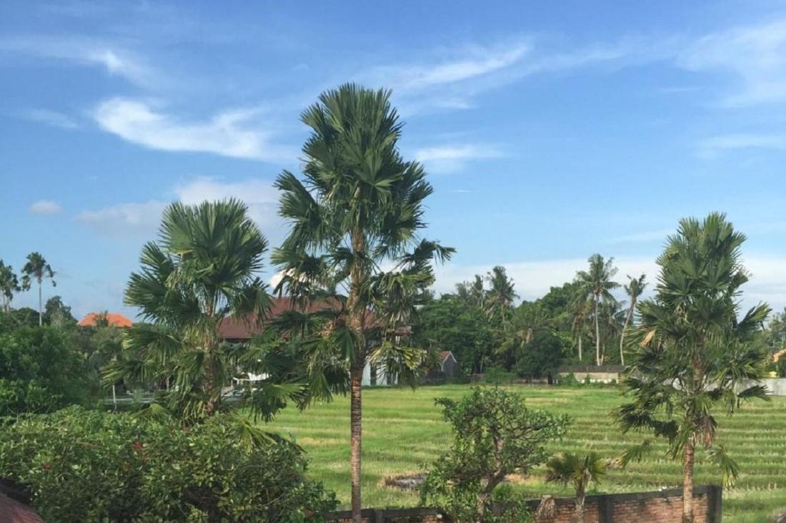 Ngeluwungan Boutique Hostel Canggu Eksteriør billede