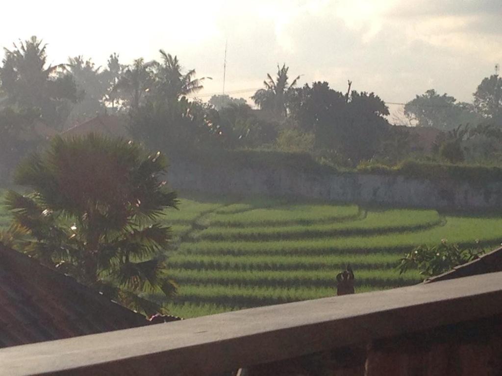 Ngeluwungan Boutique Hostel Canggu Eksteriør billede